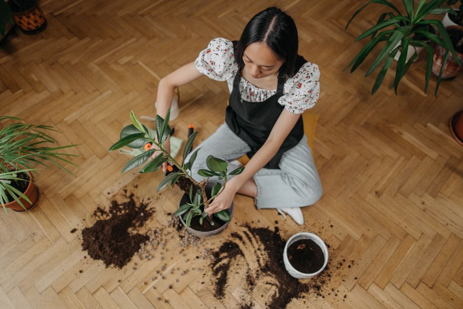 Groene kamer met diverse kamerplanten in biophilic ontwerp.
